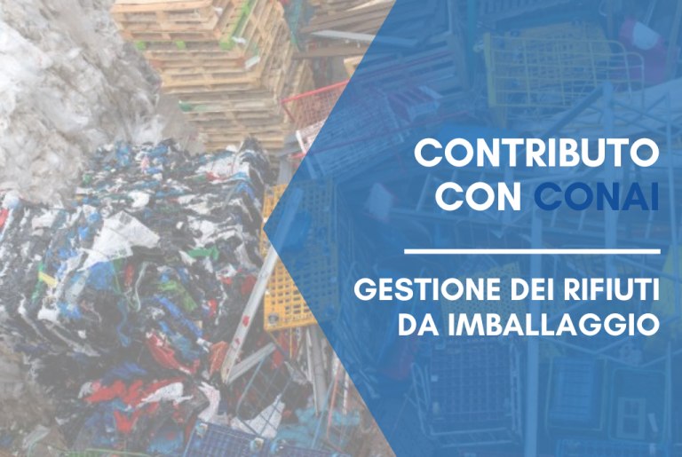 gestione conai